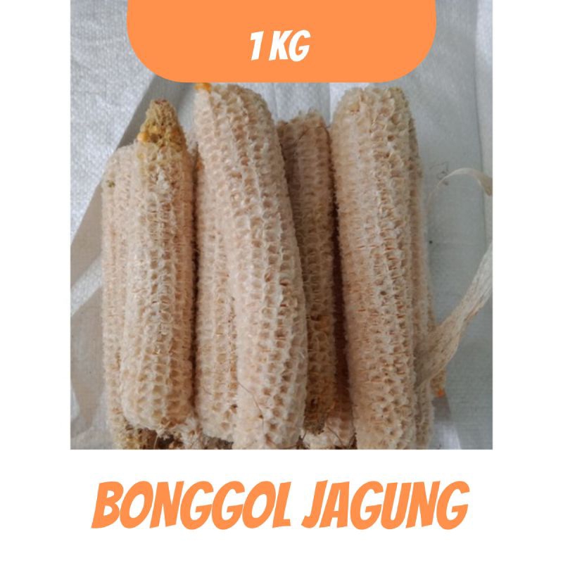 

BONGGOL JAGUNG KERING