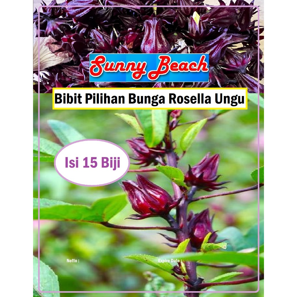 Bibit Pilihan Bunga Rosella Ungu | Benih Bunga Rosella Ungu