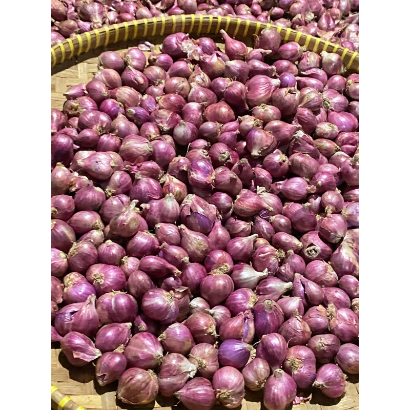 

Bawang Merah 1 Kg