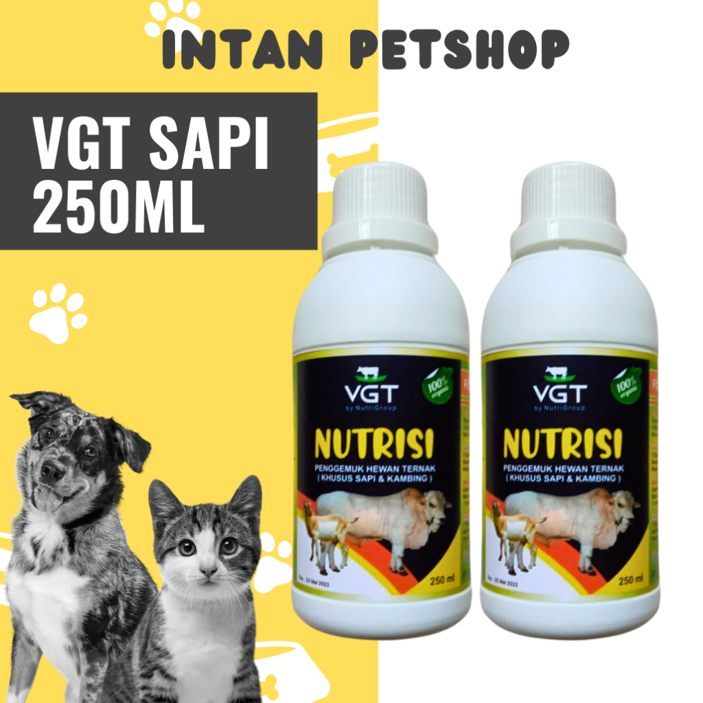 Vitamin Ternak campuran mineral sapi premix VGT nutrisi Penggemuk Hewan Ternak Sapi Babi Kambing pro