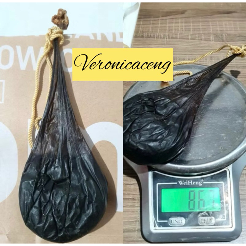 

XIONG DAN ASLI 100% KERING IMPORT OBAT HERBAL BUKAN EMPEDU ULAR COBRA - 70 GRAM