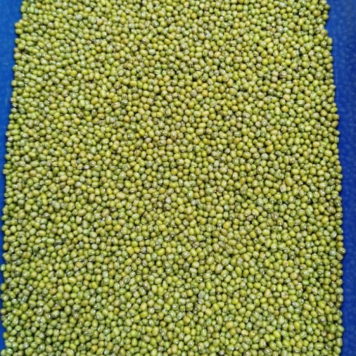 

Kacang hijau yulek australia 1kg