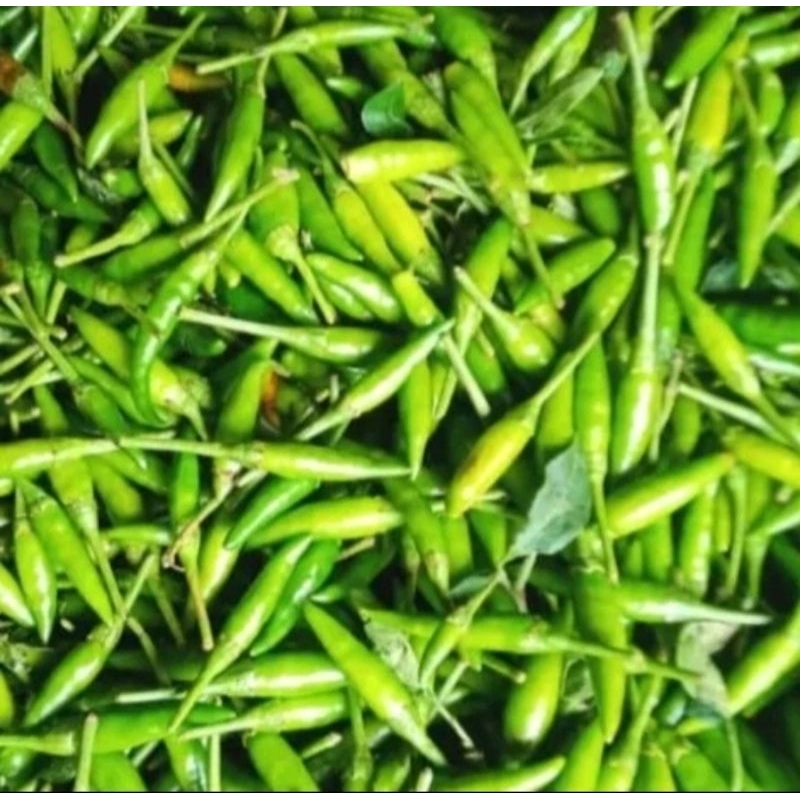

KRIEGER || Cabe rawit hijau Untuk lalapan