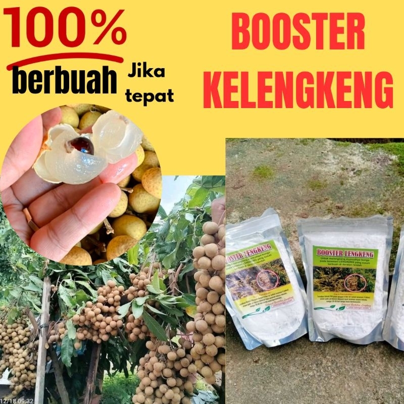 GARANSI ASLI Booster Kelengkeng Asli, Booster Kelengkeng Terbaik