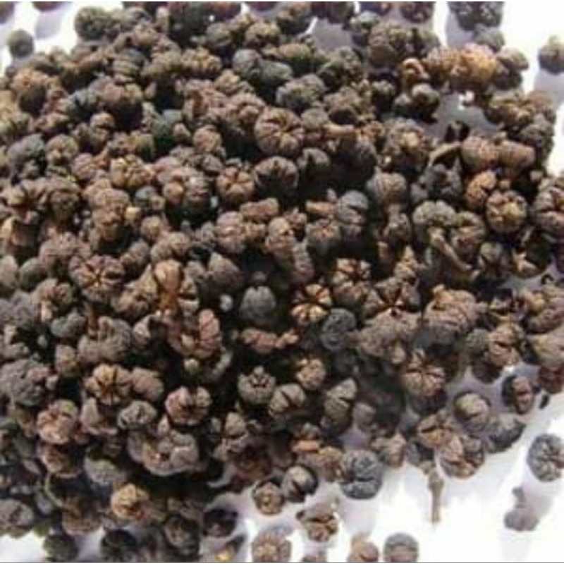 

600 GR GRAM 吴茱萸 WU ZHU YU FRUCTUS EVODIAE EVODIA FRUIT FRUITS