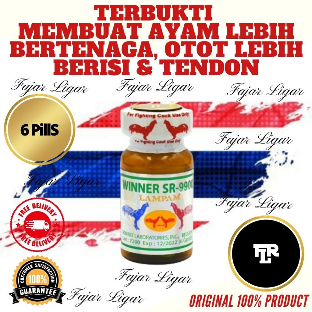 DOPING KAPSUL LAMPAM WINNER SR 9900 OBAT VITAMIN TENAGA AYAM TARUNG SUPLEMEN THAILAND