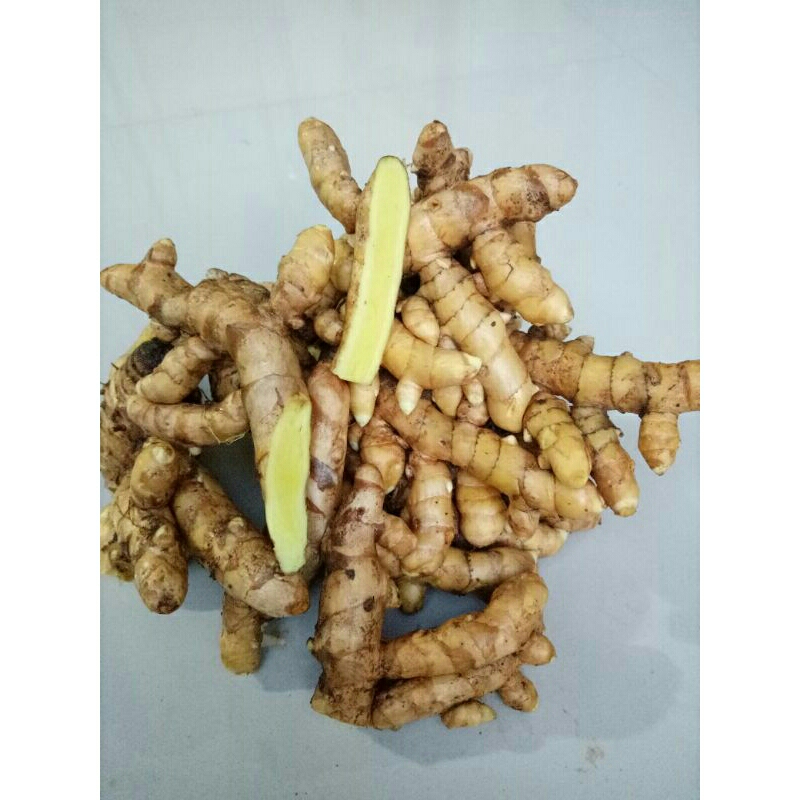 

1kg Temu Mangga Segar (Curcuma amada) Temu poh