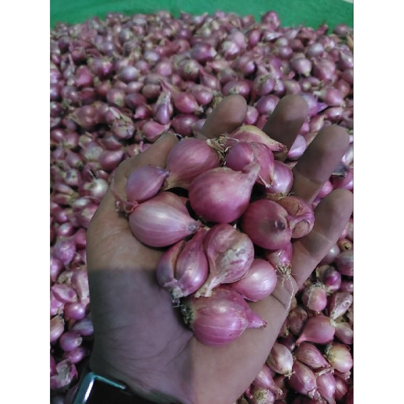 

Bawang Merah Campur 1 kg