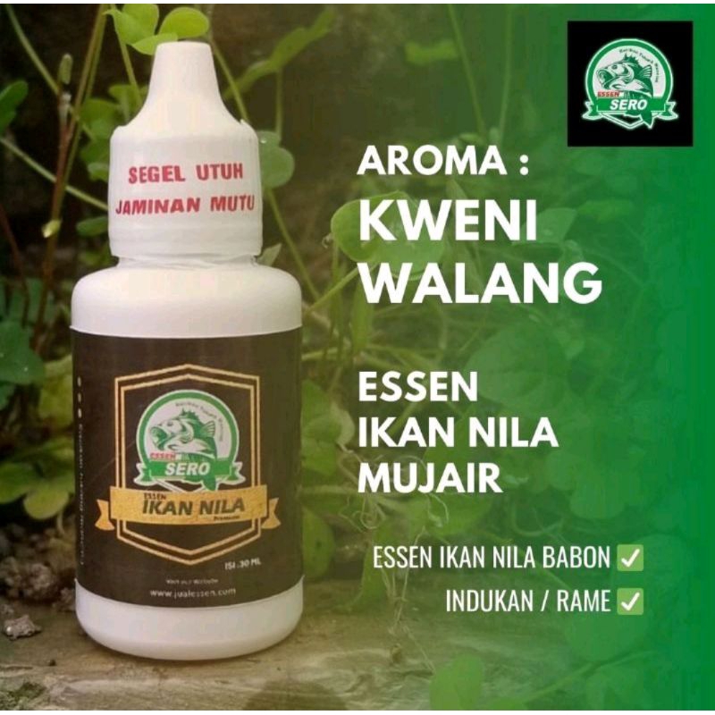 Essen Ikan Nila/Mujair Indukan/B4bon dan Rame/Essen Ikan Nila Aroma Kweni Walang/Essen Sero Multifun