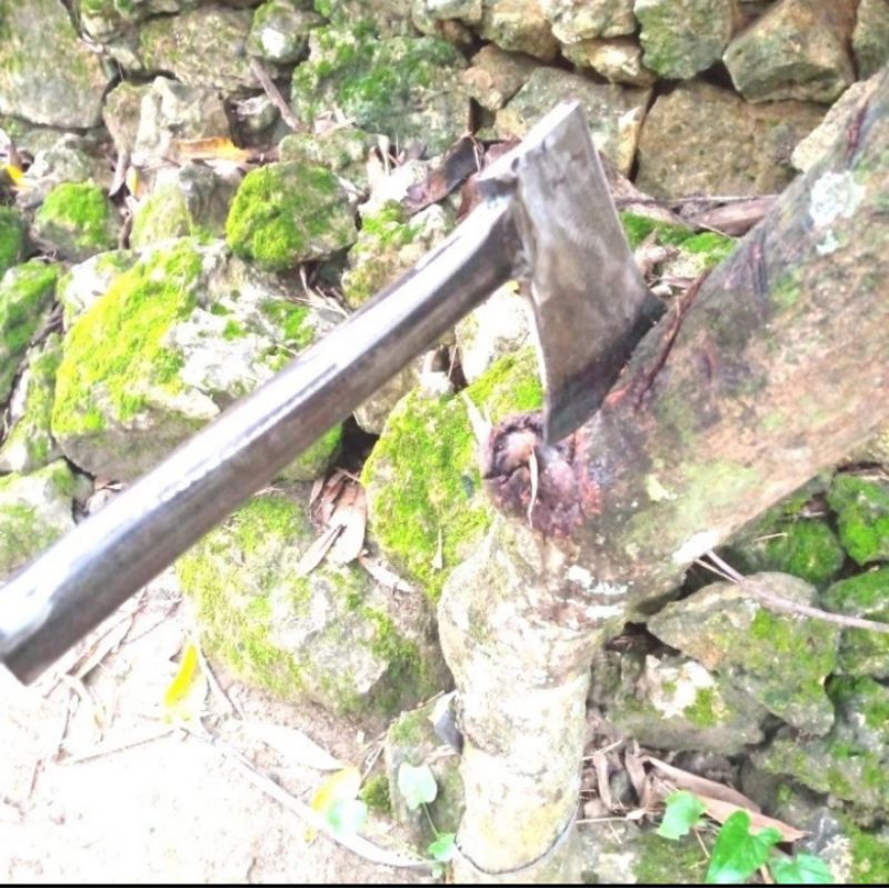 pisau cacah tulang daging sapi