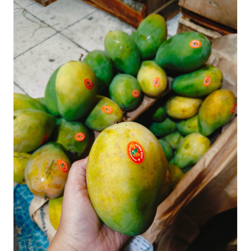 

Mangga Harum Manis -+ 1kg