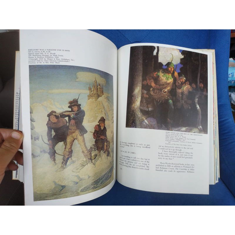 buku illustrasi painting langka nc wyeth