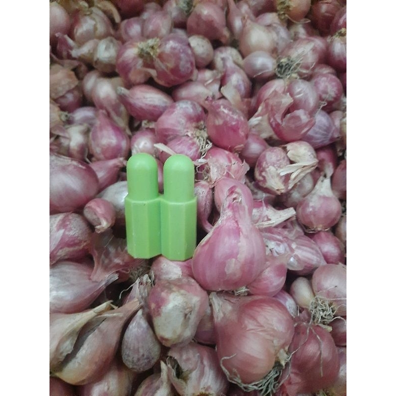 

Bawang Merah Lokal 500gr KERING