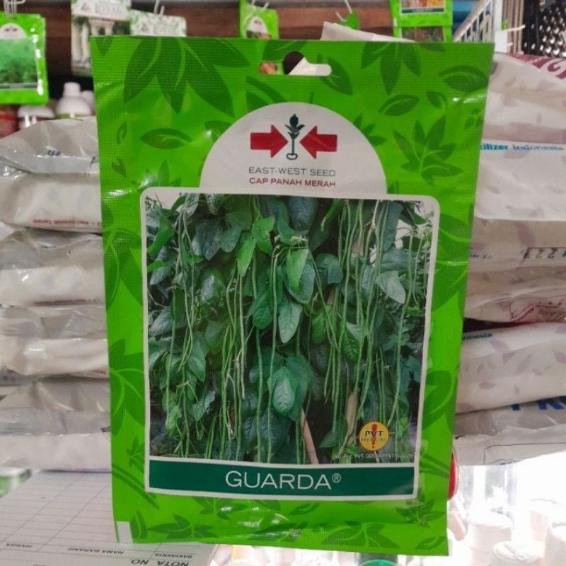 Benih Kacang Panjang Garda/Guarda Cap Panah Merah 200 butir