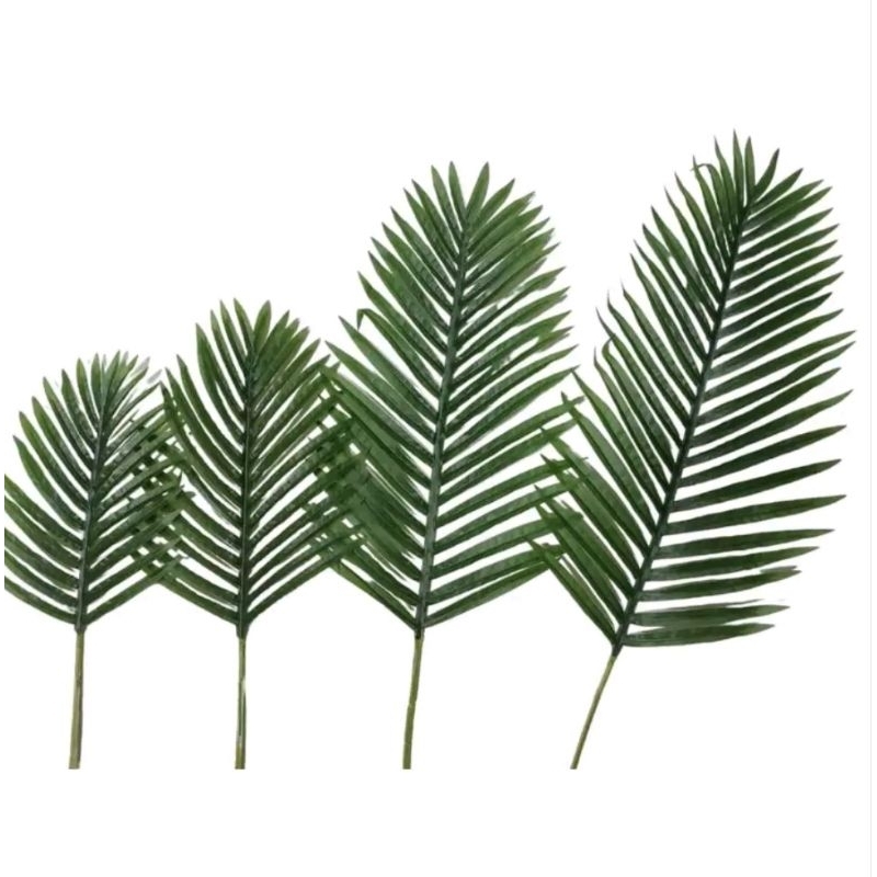 Daun Dekorasi Daun Kelapa Palm Dekorasi Pernikahan