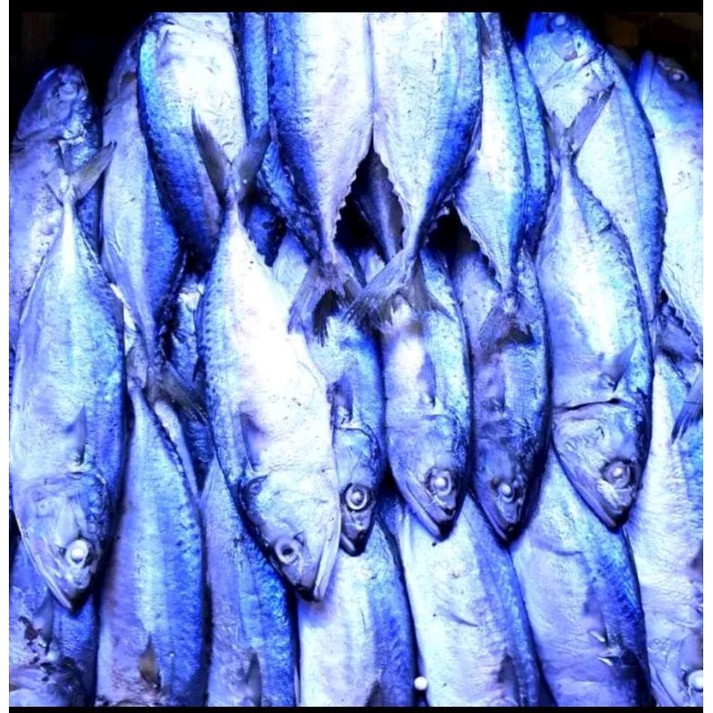 

ikan rebus medan tanjung balai 500gr