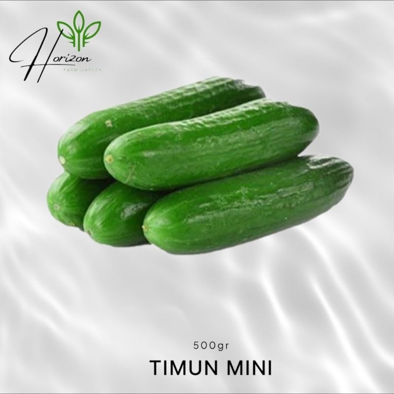 

Mentimun mini | Timun mini | Timun midi 500 gr fresh
