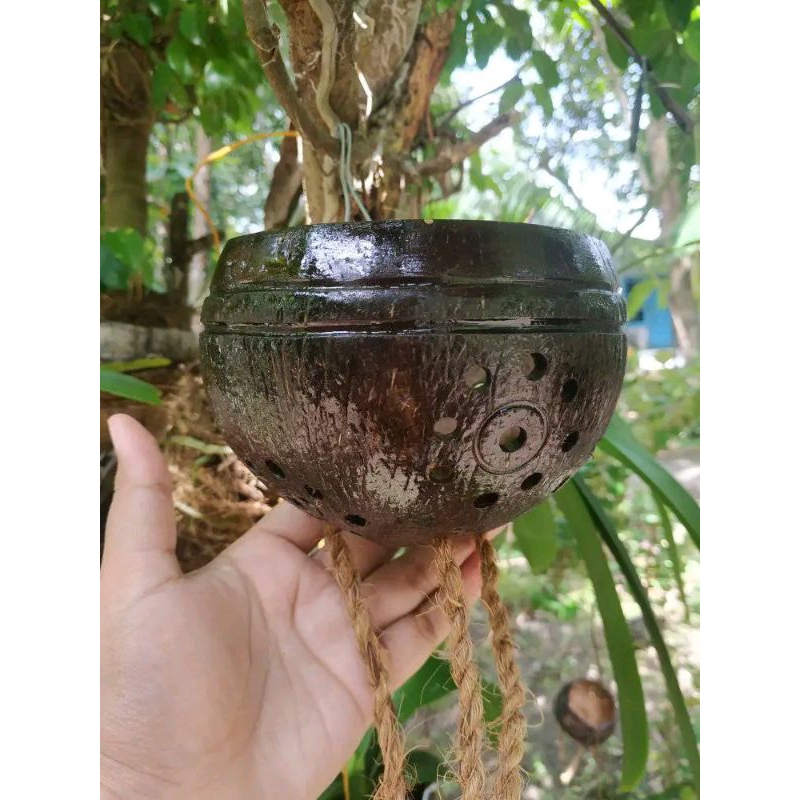 pot tempel batok/pot tempel tempurung kelapa