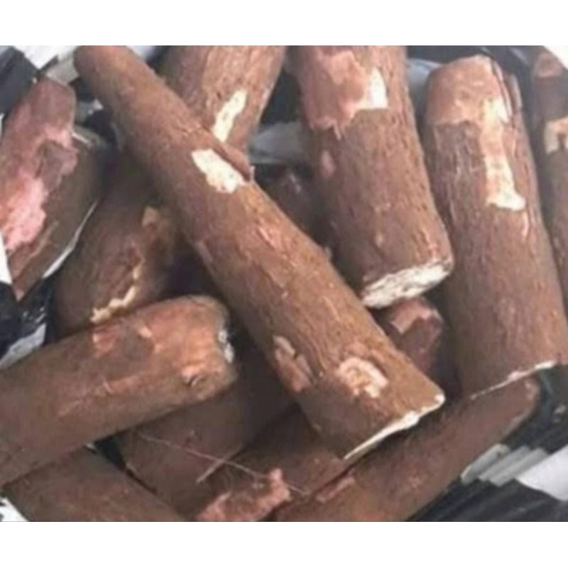 

Singkong Segar Siap Olah sudah bersih (1 kg)