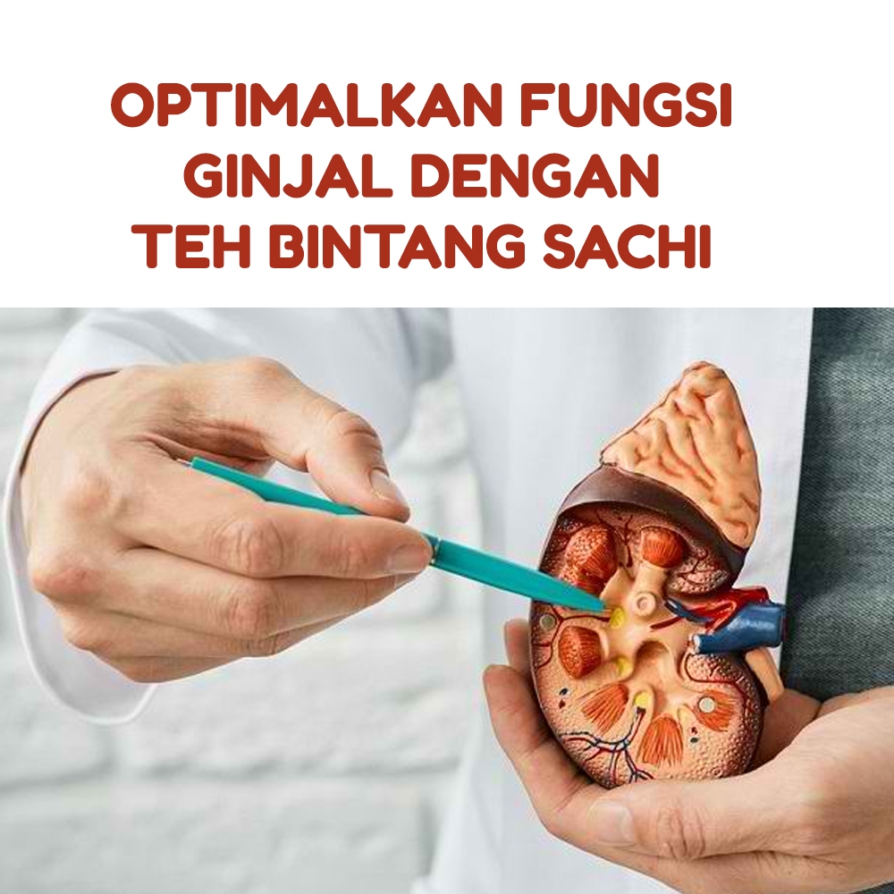 

Jual Herbal Vitamin Gintal Teh Bintang Sachi