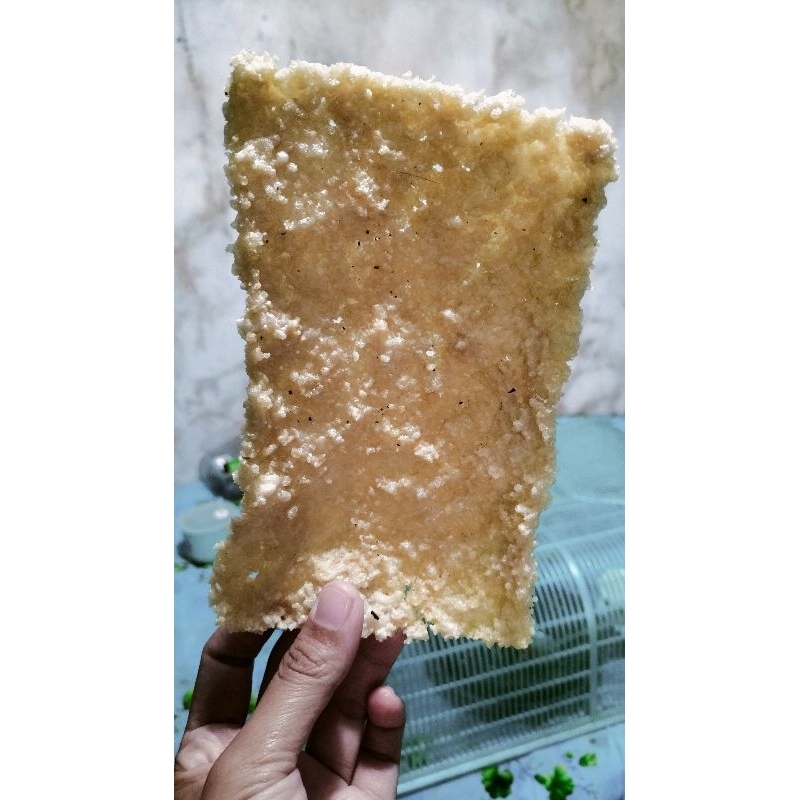 

PULI LEMPENG KHAS MADIUN