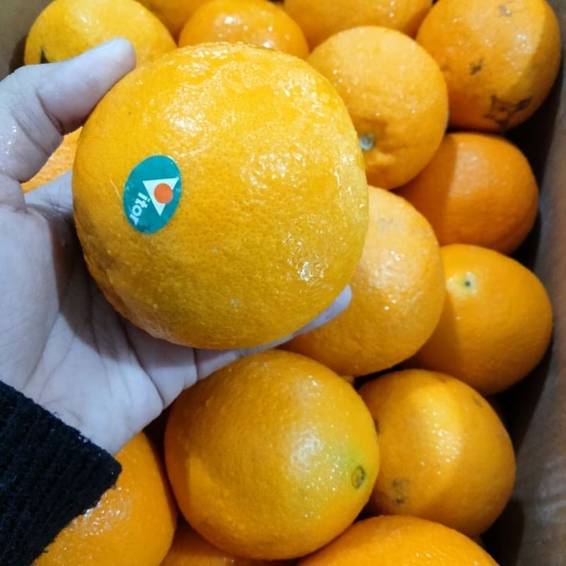 

Jeruk Sunkist Navel