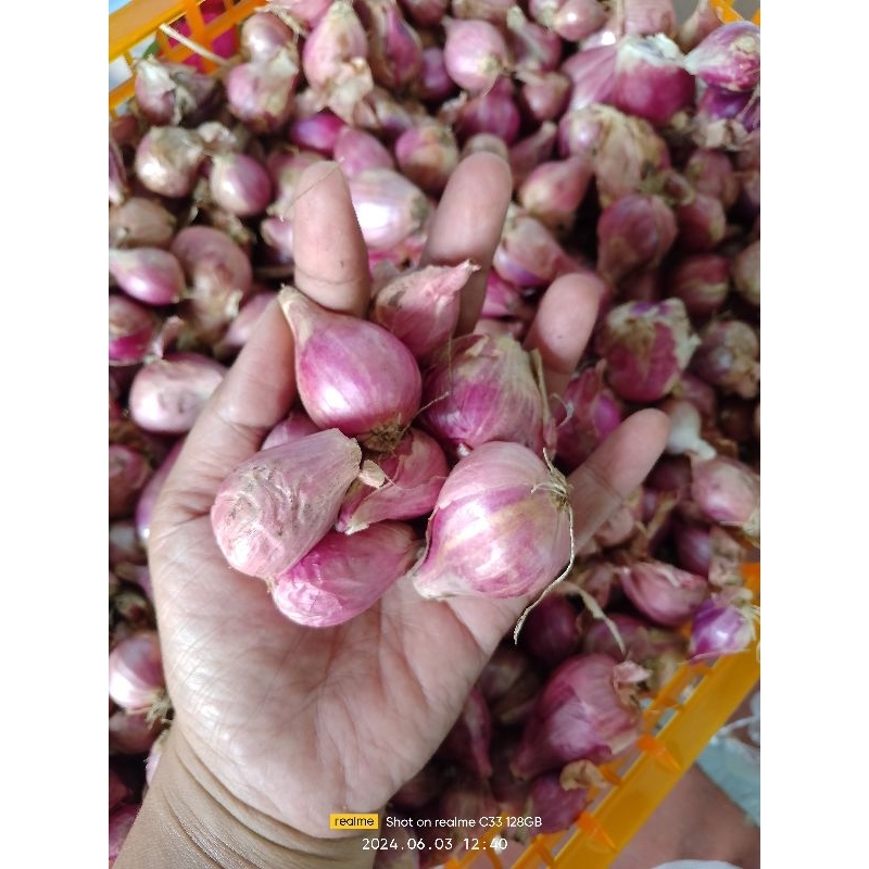 

bawang merah 1 kg