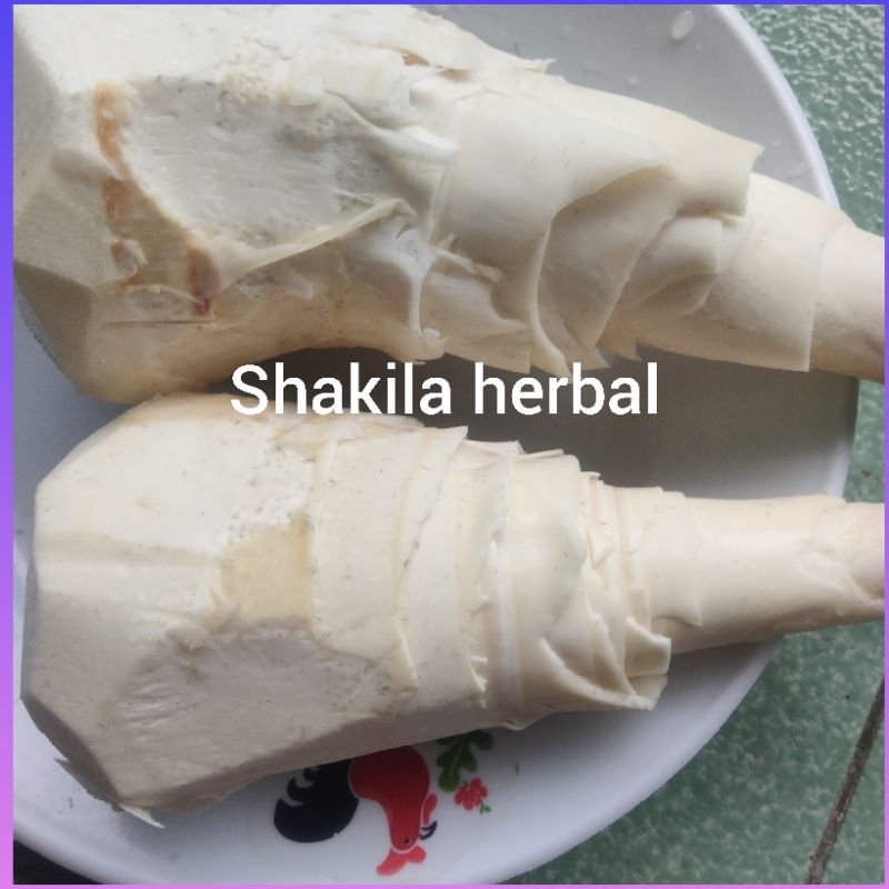 

jual rembung sayur atau iwung bambu1kg