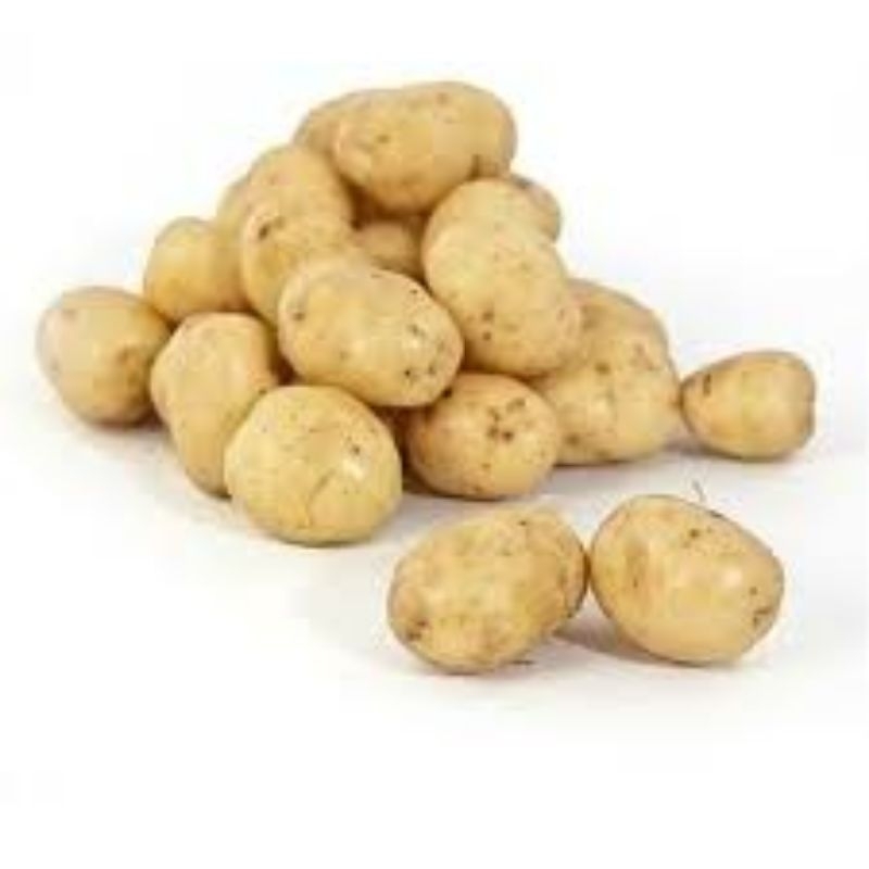 

KENTANG 500GR