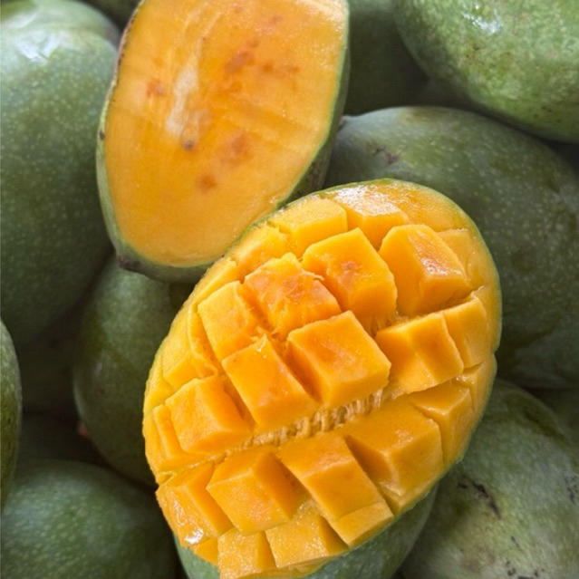 

Mangga [ Harum Manis / Manalagi / Indramayu ) 1kg