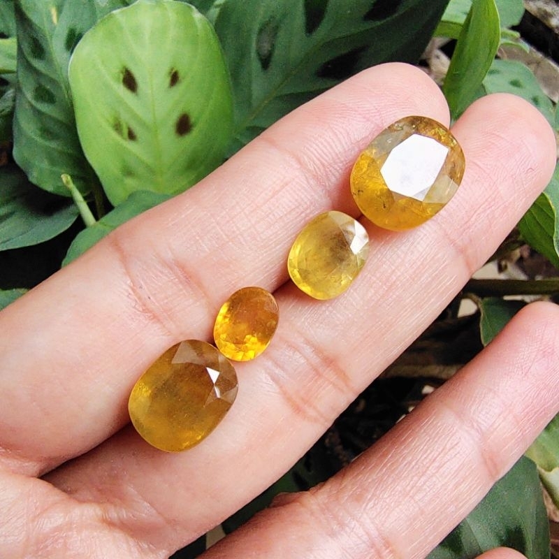 Batu Permata Natural Yakut Kuning Kating Oval High Quality - Batu Yellow Safir / Sapphire Asli