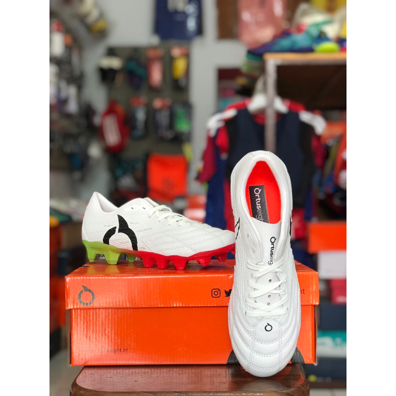 CATALYST VISION V4 FG K-LEA ortuseight