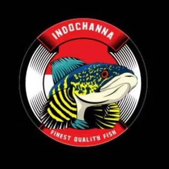 

Sticker Stewarti 5-7cm giwar