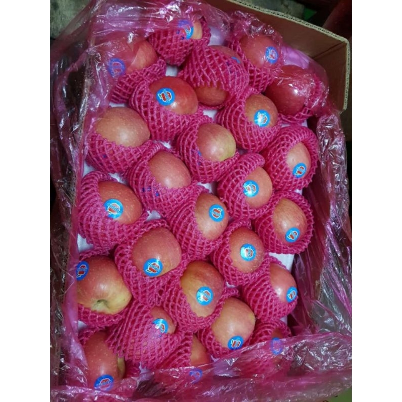 

APEL FUJI MANIS GROSIR 1 DUS