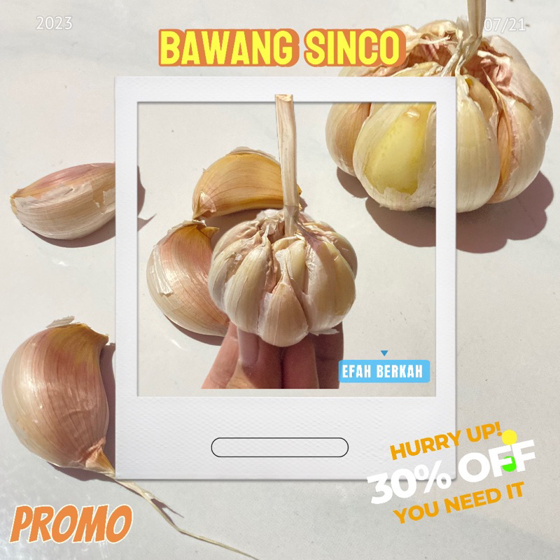 

BAWANG PUTIH SINCO MURAH 500gr // bonus jaring