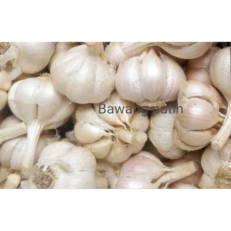 

Bawang putih fresh 500gram