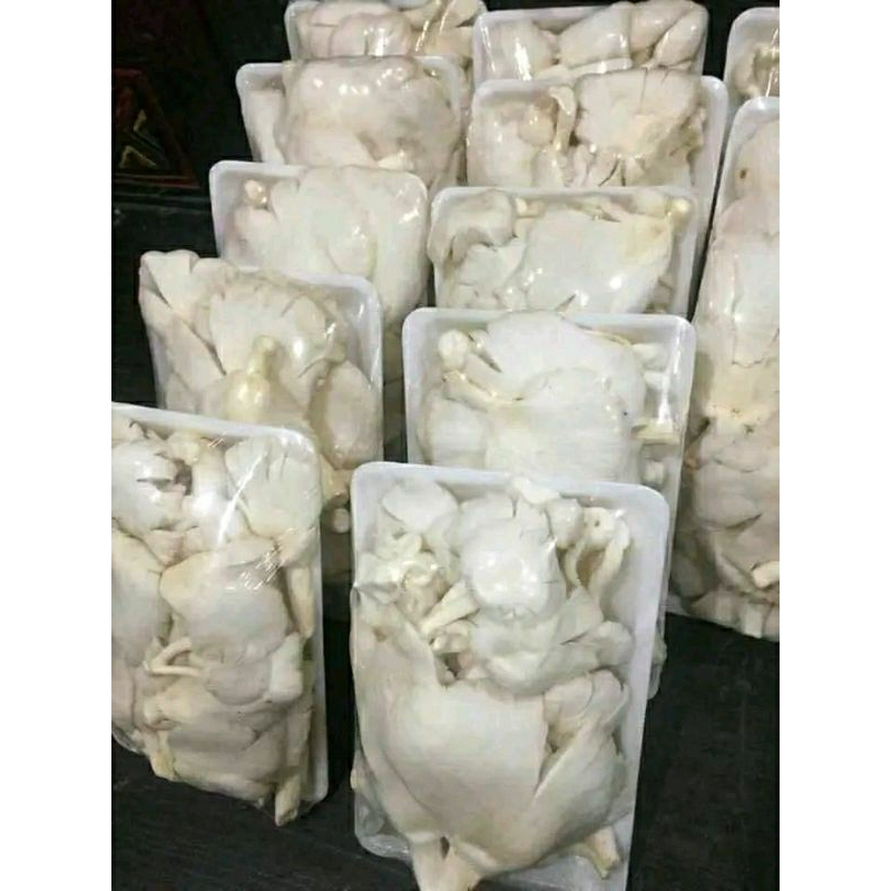 

Jamur Tiram Putih kemasan 500gr