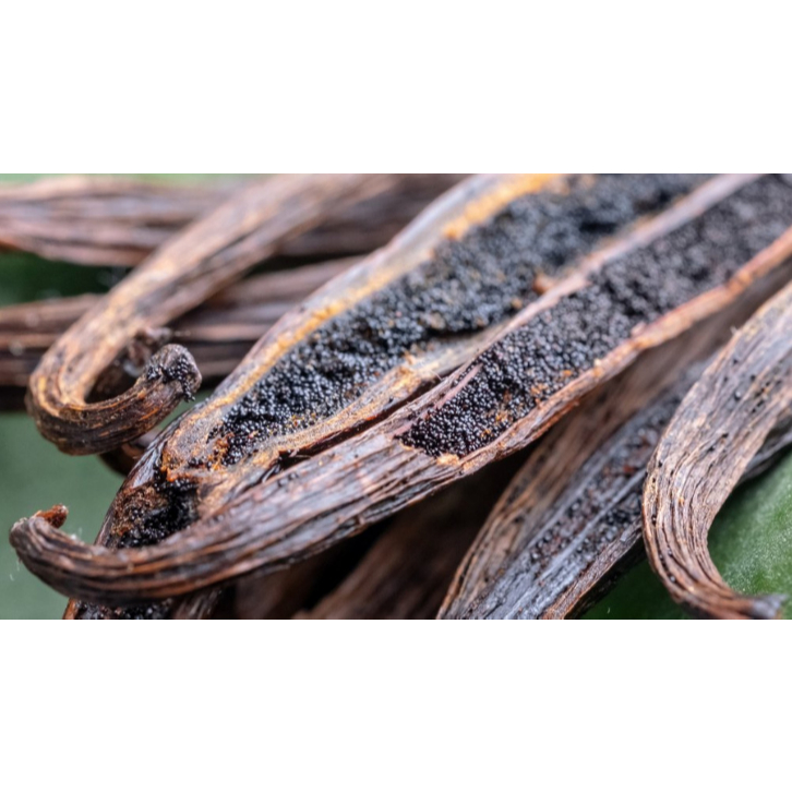 

PLANIFOLIA - Vanilla Beans Grade A Gourmet Terbaik dan Termurah Tanaman Buah Biji Vanilla / VaniliVANILLA BEANS KEMASAN POD / 10GRAM /100GRAM / 1KG