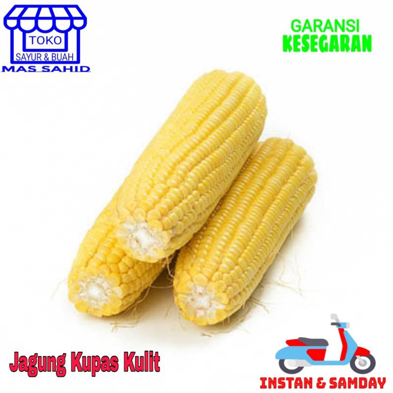 

Jagung Kupas Kulit 1 pcs Jagung Manis Segar Kupas Kulit