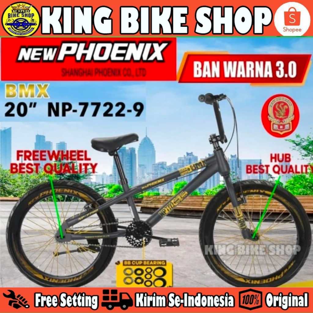 Sepeda Bmx Anak Laki-Laki 20 Inch Bmx Phoenix 7722-9 Ban 3.0 Warna