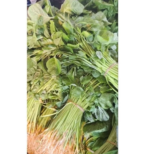 

Bayam segar 1 ikats