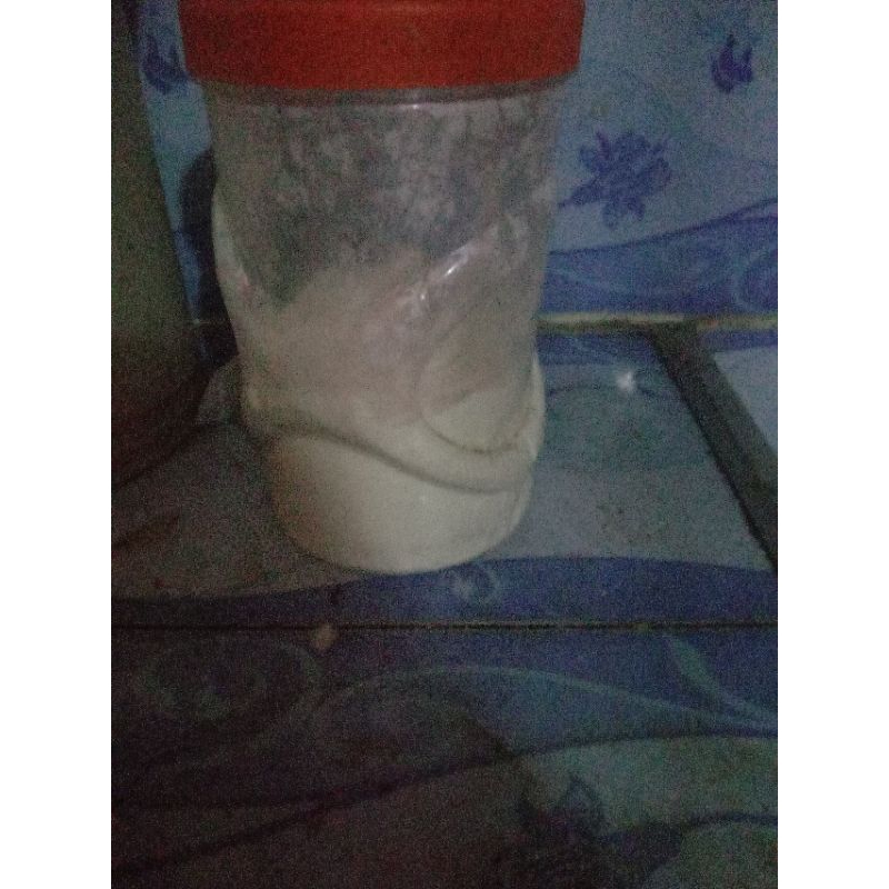 

susu nesle