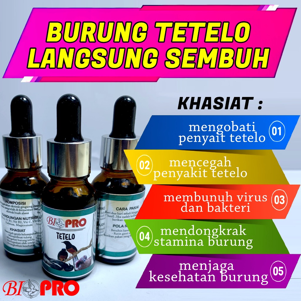 GANGGUAN SYARAF BIOPRO TETELO VITAMIN DAN OBAT BURUNG TERKENA PENYAKIT TETELO