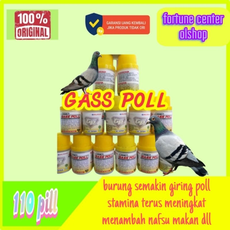 GASS POLL JAMU BURUNG MERPATI GASPOL PIL GIRING MERPATI KAMLANG GASSPOLL