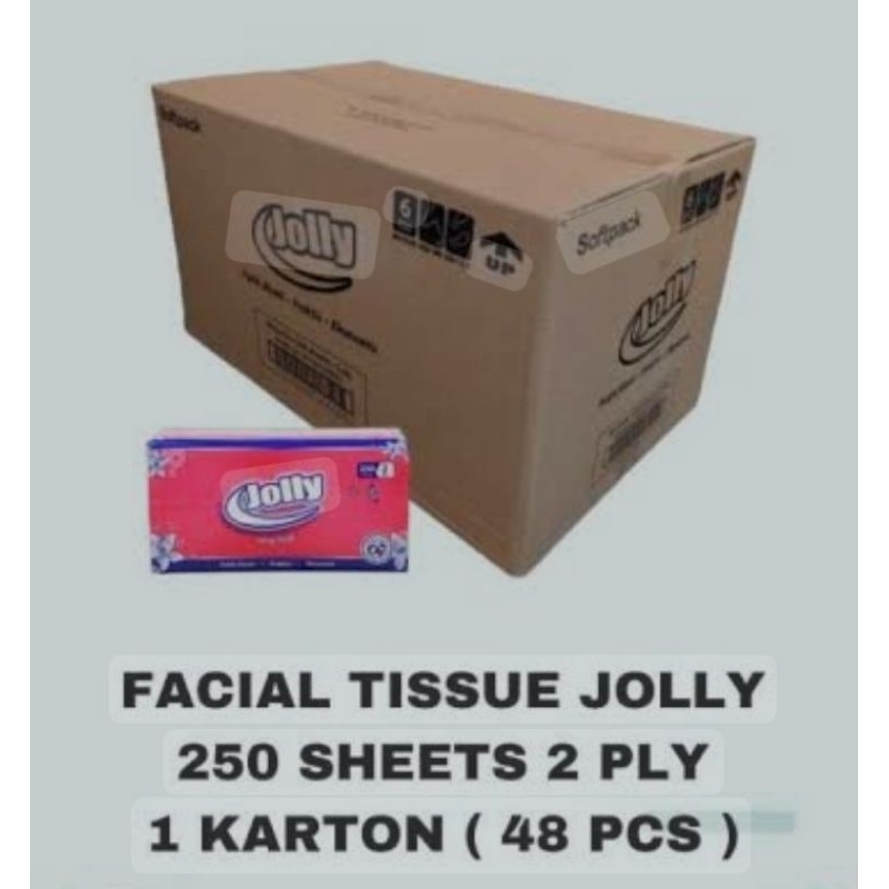 JOLLY TISU KEMASAN 250 SHEET (1 DUS)