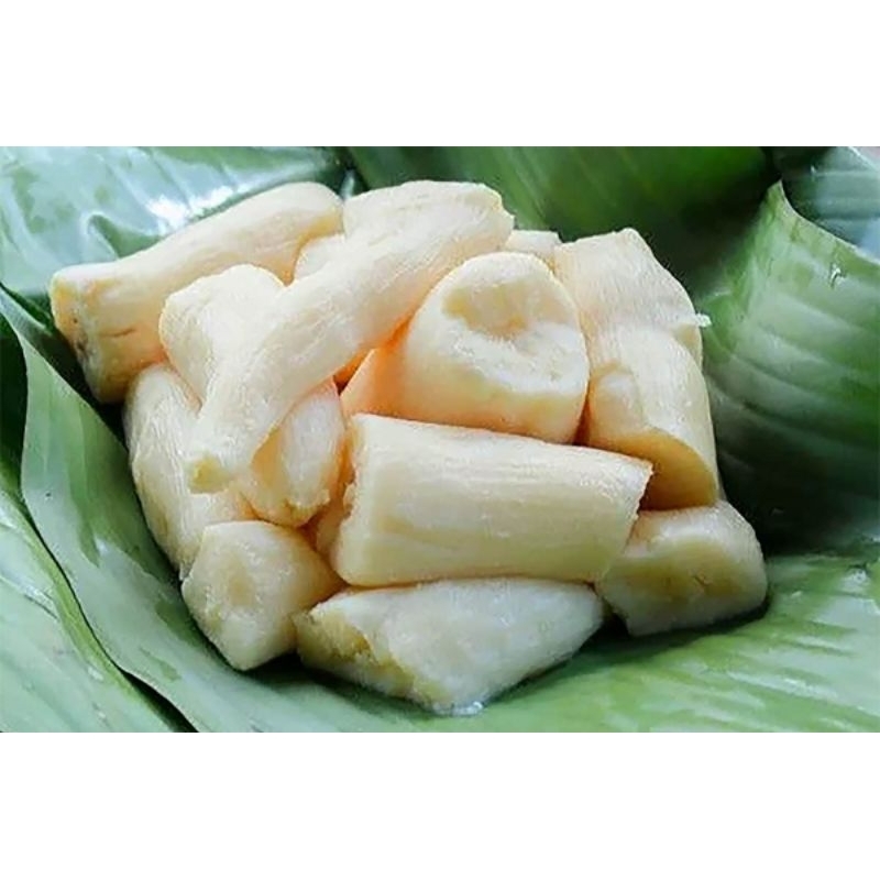 

tape manis Bondowoso