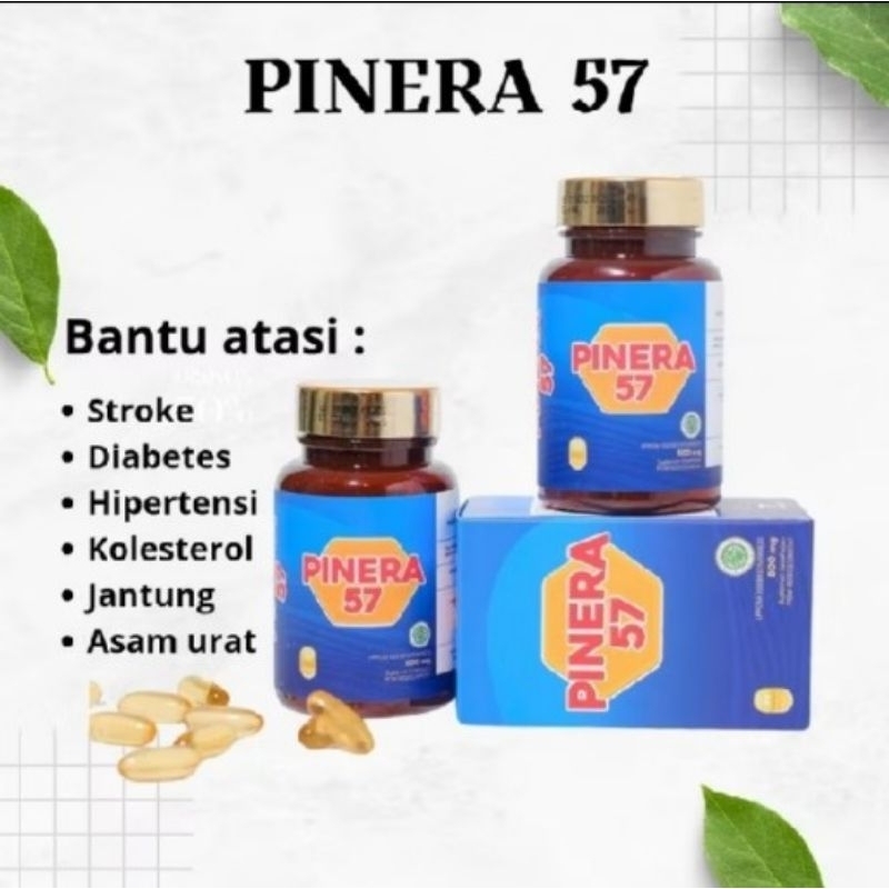 

SEGERA OBATI GEJALA STROKE-HIPERETENSI-KOLESTEROL-DIABETES Dll ANDA DENGAN PINERA 57