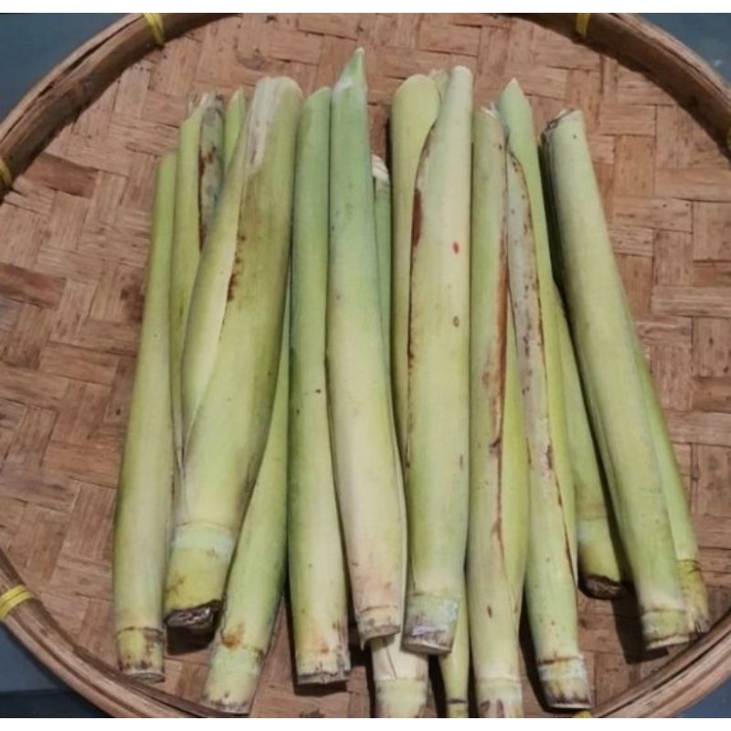 

tebu sayur/turubuk segar 500 gram