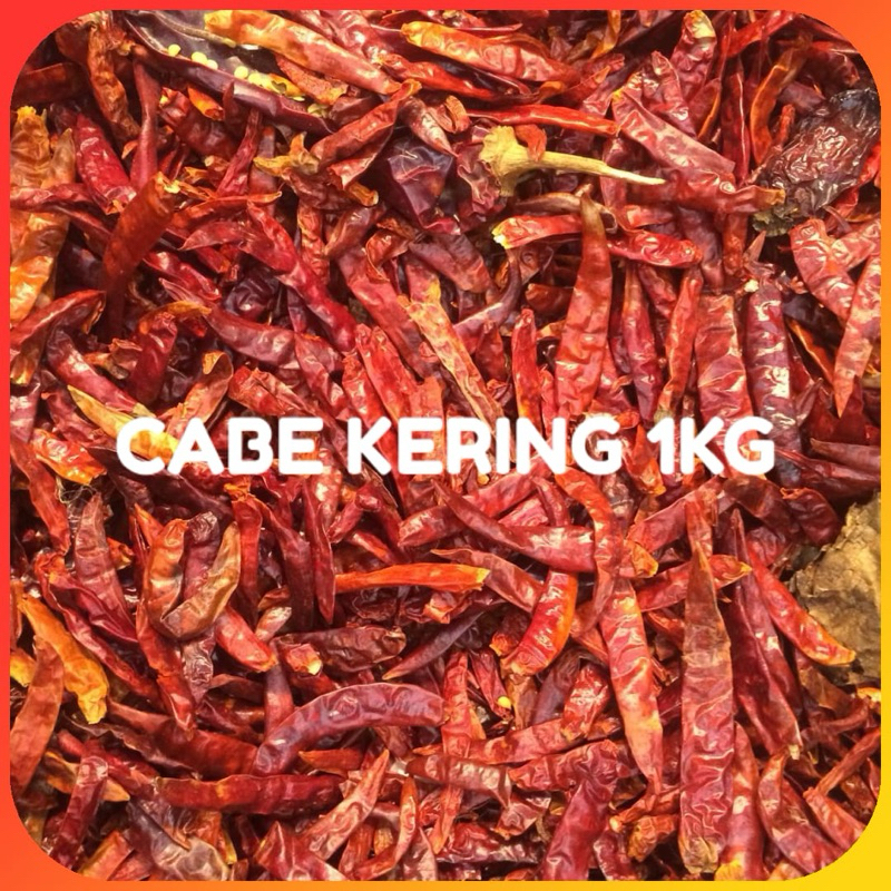 

Cabe Rawit Kering 1Kg Kualitas Super Pedas TERMURAH!!!