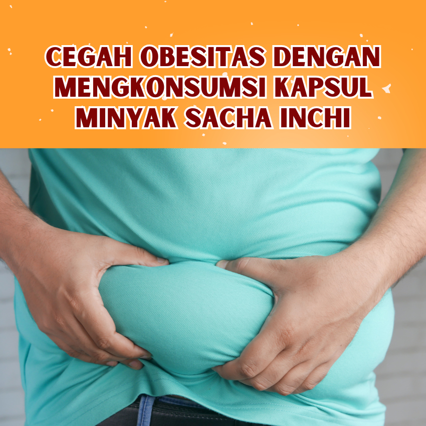 Obat Herbal Pencegah Obesitas Kapsul Oil Bintang Sachi